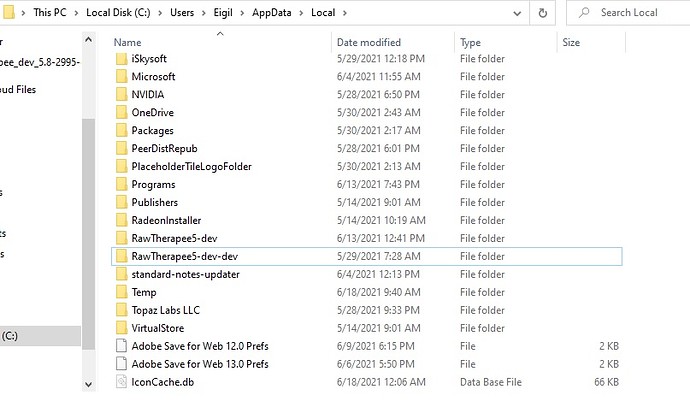Two folders with RT in AppData Local