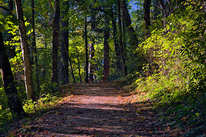 20231029_155631_00987