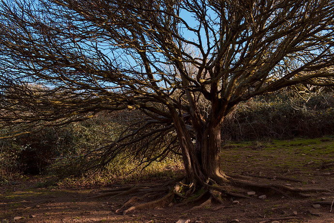 2022-01-31-11.58.58.0