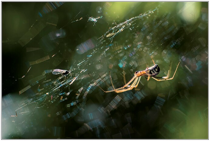 2023-05-23__DSC05176_2k