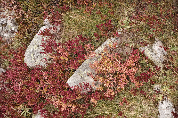 20250913_2025-09-13 nendaz_0091_01