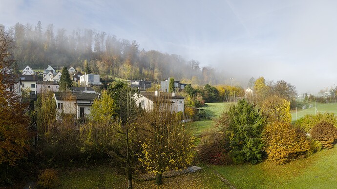 2025-11-05-10-18-21-DSC_0582 - 2025-11-05-10-18-30-DSC_0588