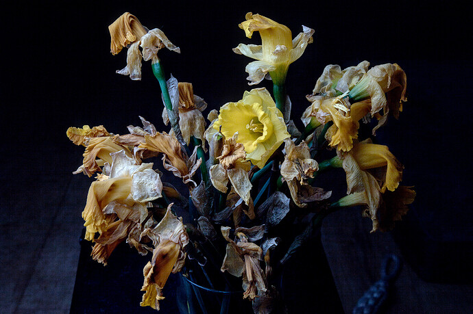 26-03-26 _MG_9285