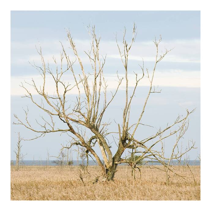 DSCF6136