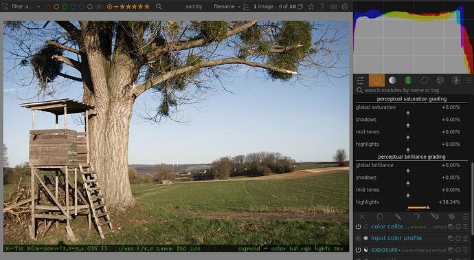 210329-T10X5333-colbalrgb38