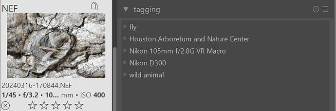 Screenshot 2026-03-18 132224