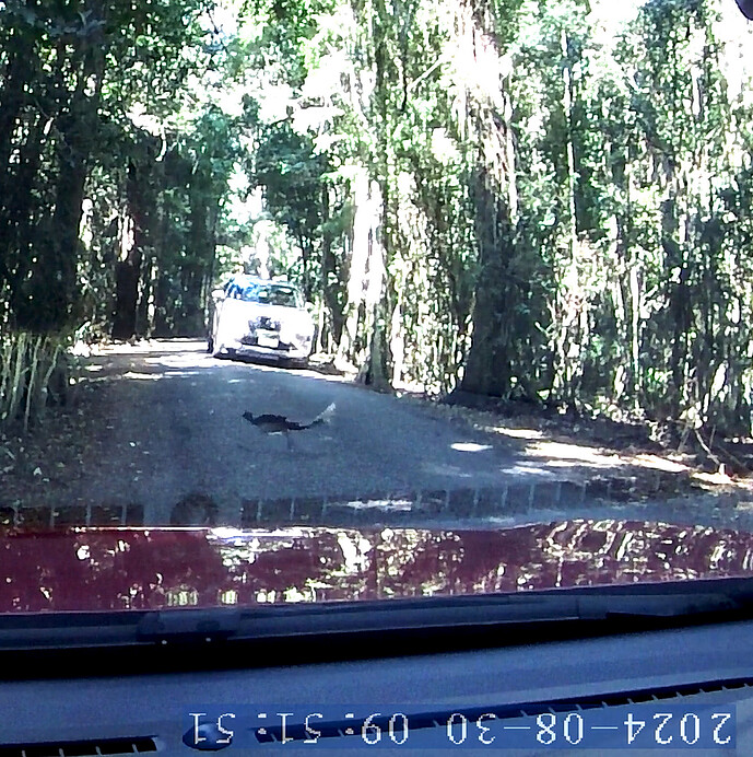 Screenshot_20240831_120723