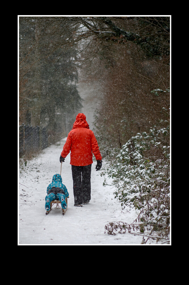 260103_161515_DSC08235