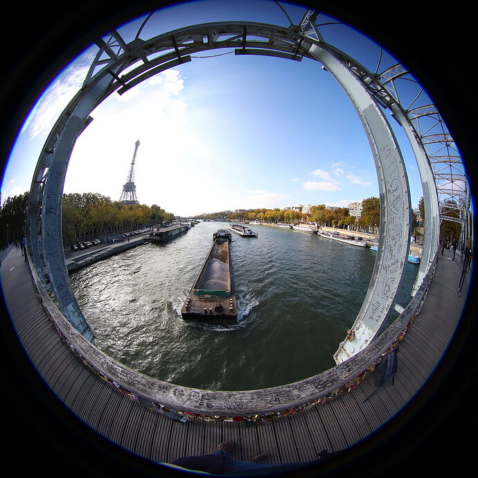 Seine