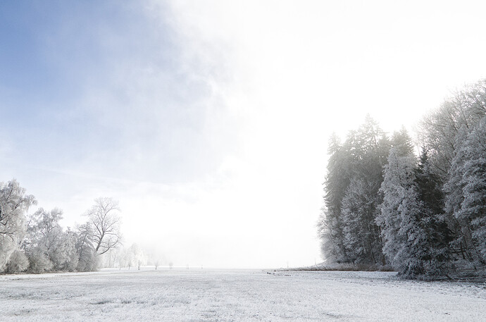 2024-01-14_14-03-19_DSC_0054_01