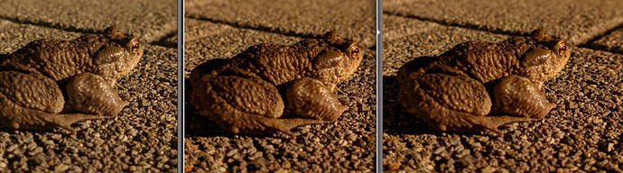 gimp-firefox-darktable