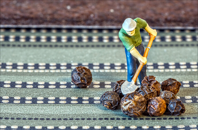 EMG26273-F150mm-A22.0-Macro-ISO100-dt_v1-2026-web