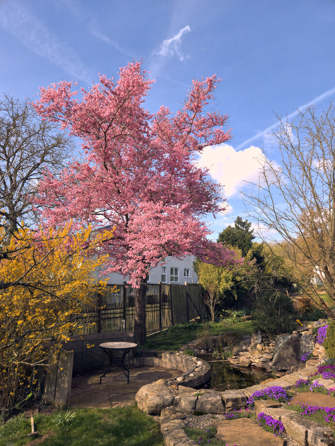 260406_111909_P06_art_gimp_gmic_edit