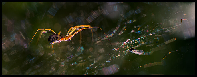 2023-05-23__DSC05176