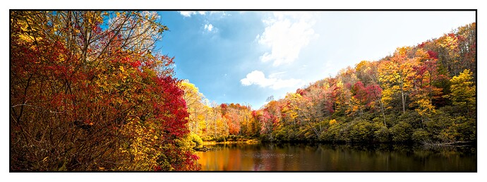 2025-10-18 11.38.12 - Autumn in Appalachian_01