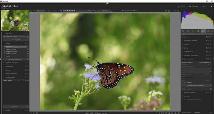 Screenshot 2025-07-20 104053