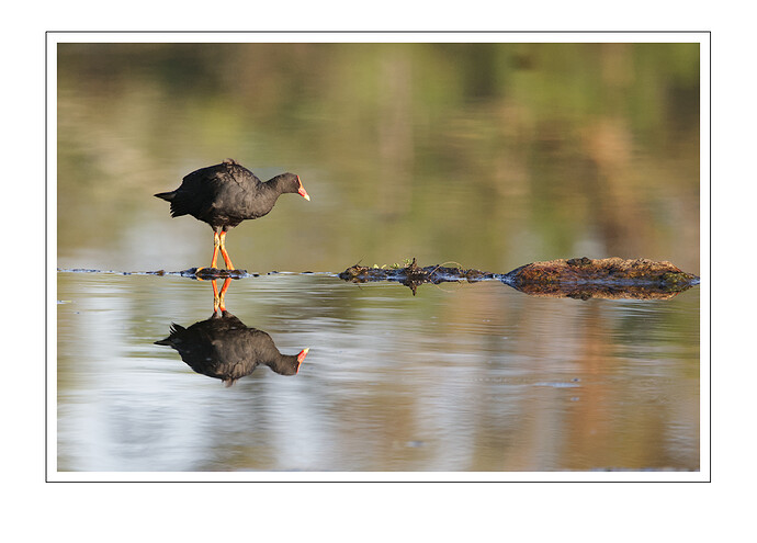 2025-12-06_05-52-10.61_DSC9998