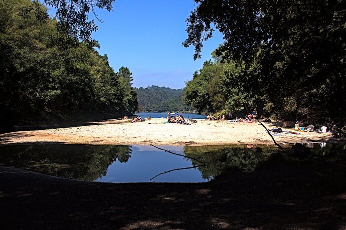 20220923_20220808_0130_01