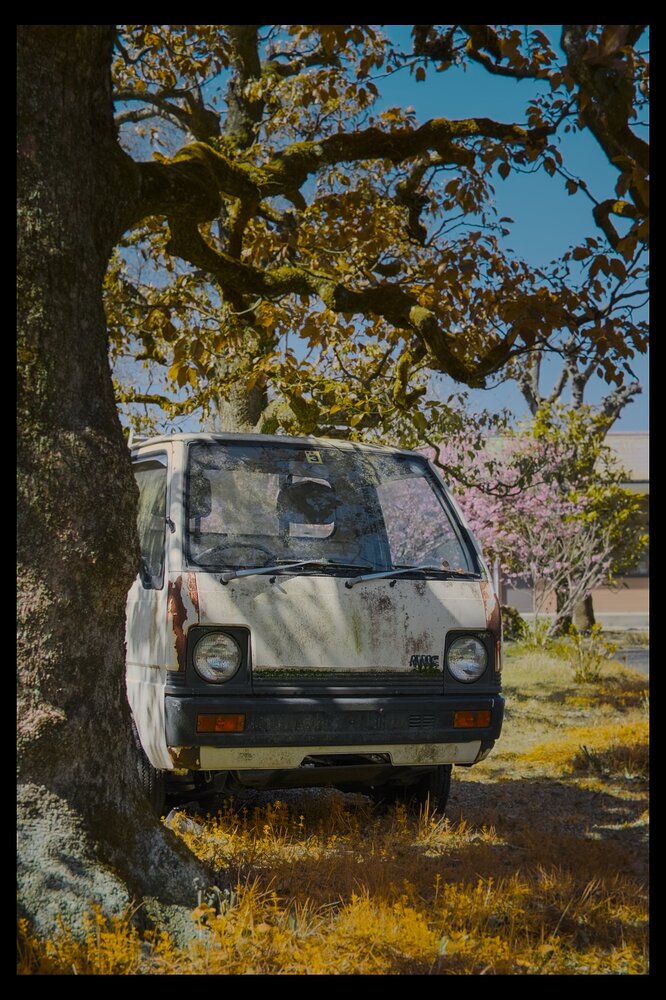 Peek a truck a boo_L1083176