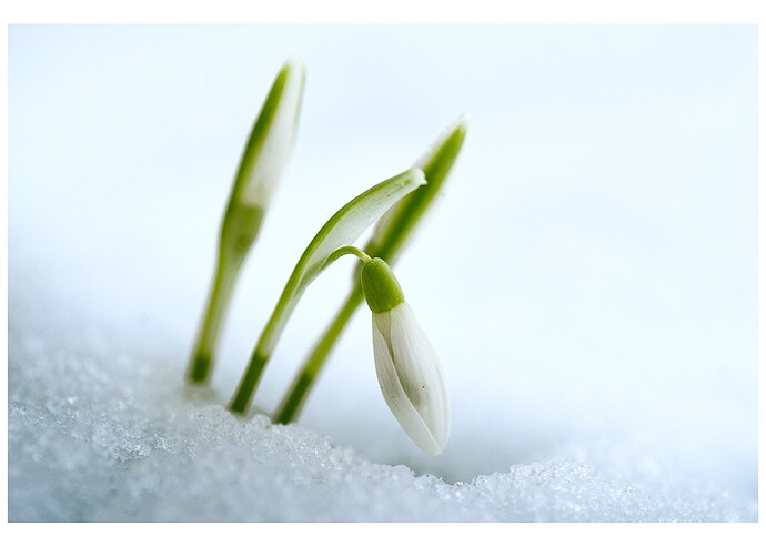 260216_132312_DSC08577