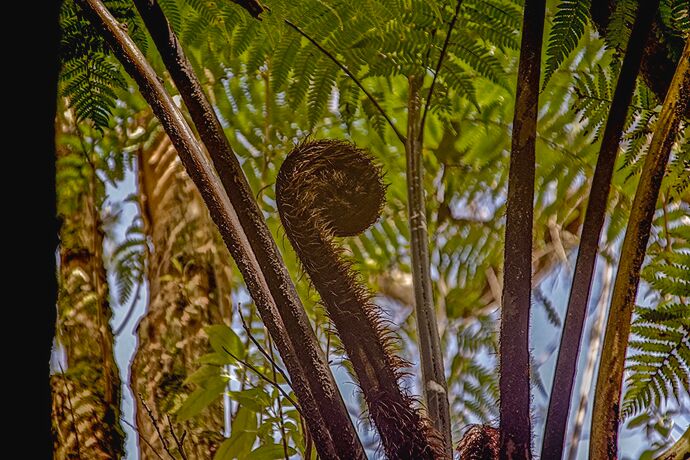 2023-09-27_13-40-10.14_DSC0620_03