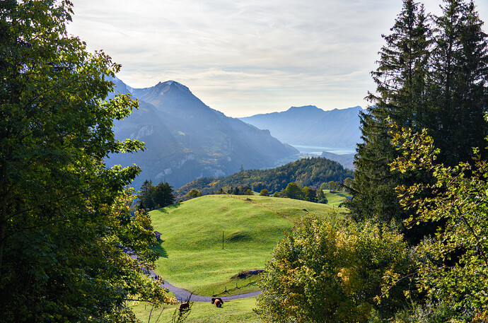 2020-10-08_16-55-11_DSC_0206