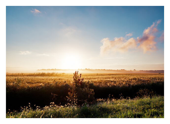 2024-09-29 04.27.55 (0)