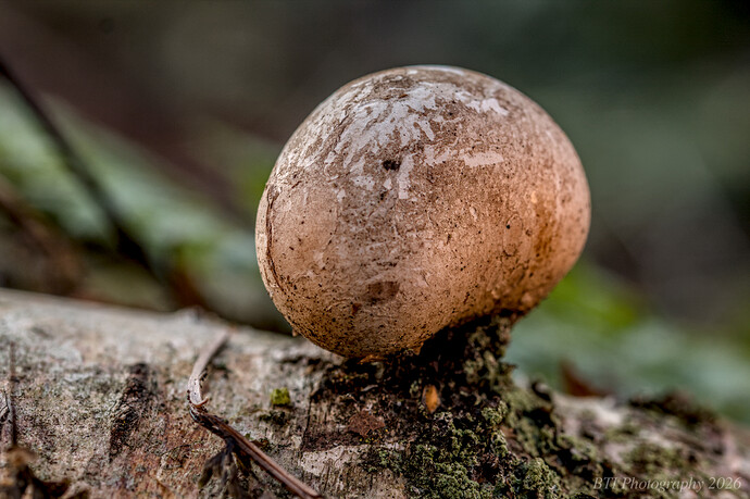 IMG_3178-Edited_ DCC-Web