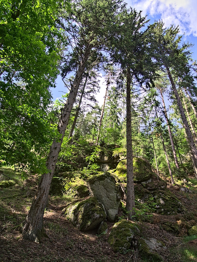P6123264