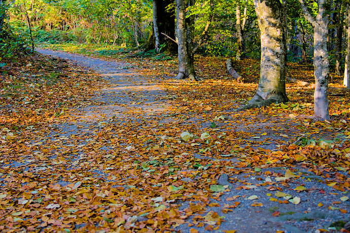 20231029_155317_00955