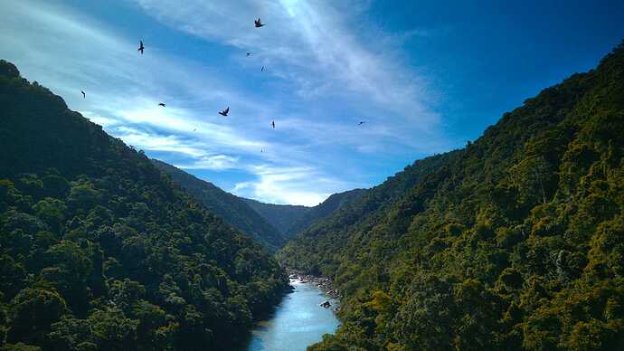 DJI_20250304160413_0034_D