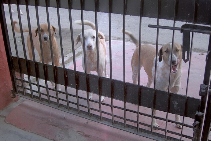 P1010615 -2023.12.16_01