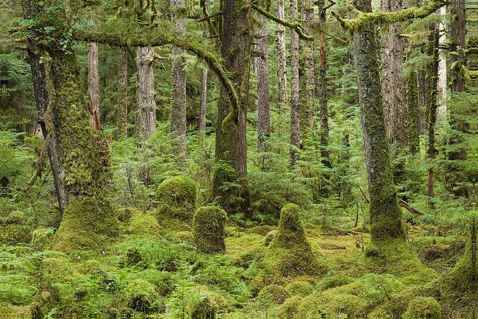 20250506-210102-4608-_DSF5558_02_RPF_04