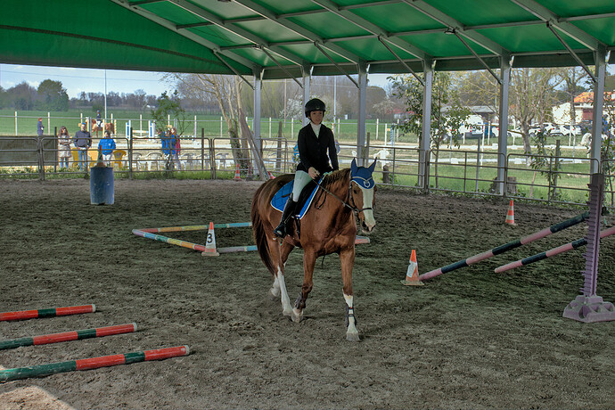 IMG_6624 Bitless_I_2023_1