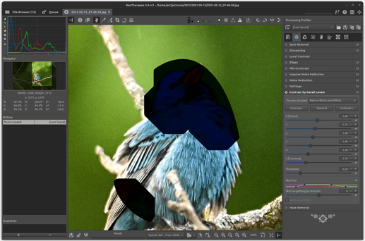 Screenshot from 2022-11-17 08-37-46