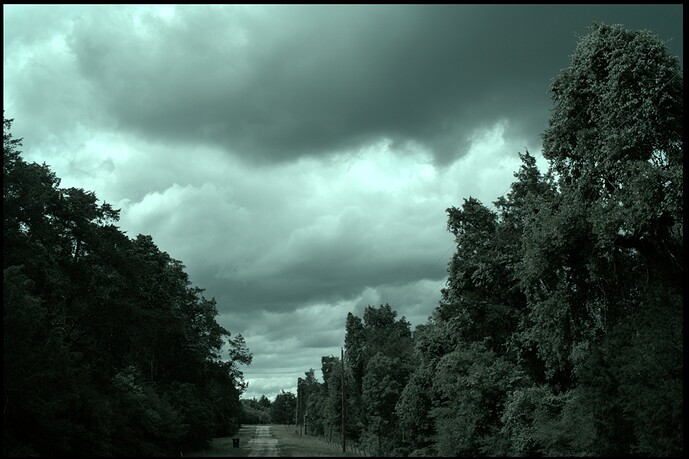SDIM0790