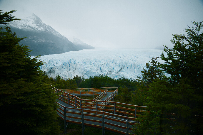 _DSC5959