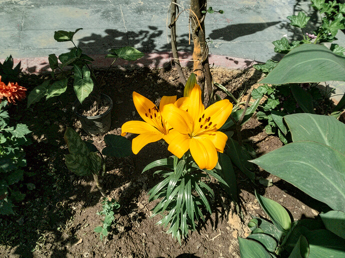 1709882624956 _17.dng.xmp