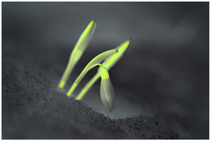 260216_132312_DSC08577