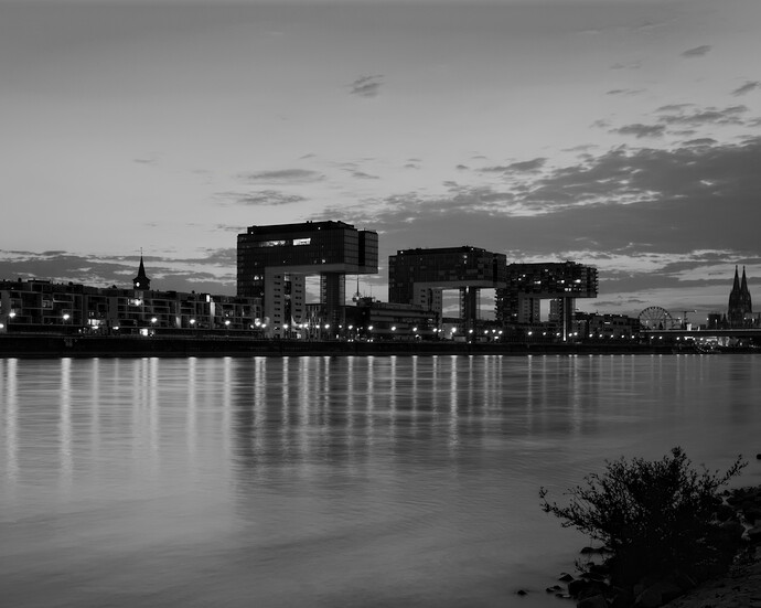 DSC_3443-1 for pixls
