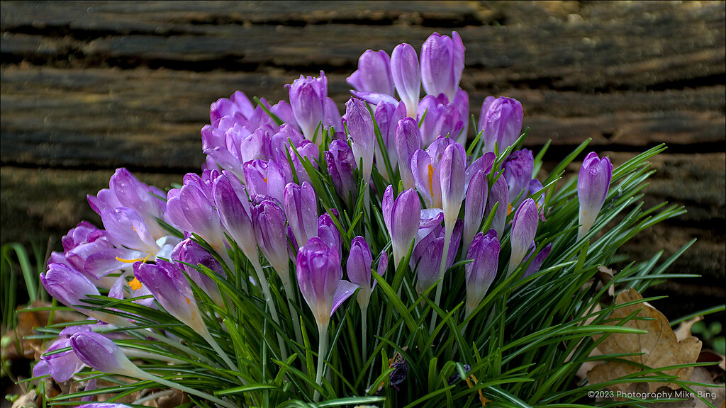 Darktable masking tutorials Boris Hajdukovic great stuff