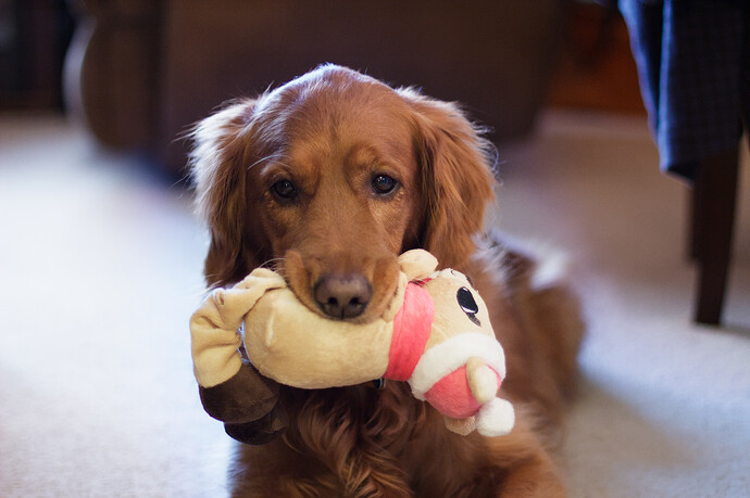 2015-01-22 093429-01