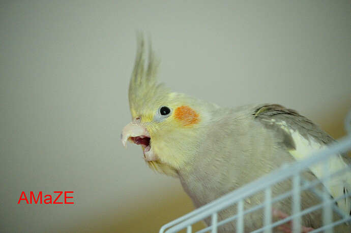 AMaZE_20220916_019327_DSC0750