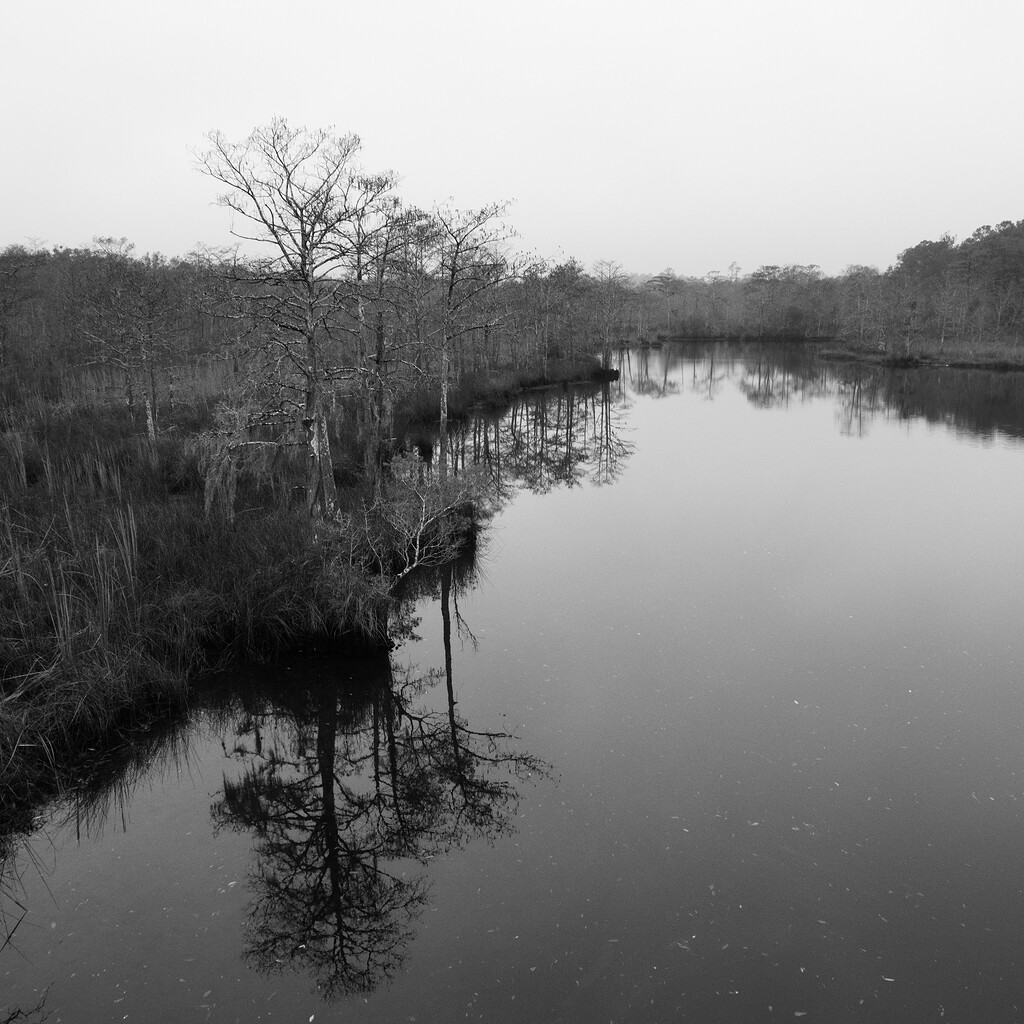 Rabbit Creek, Mobile, AL Play Raw discuss.pixls.us