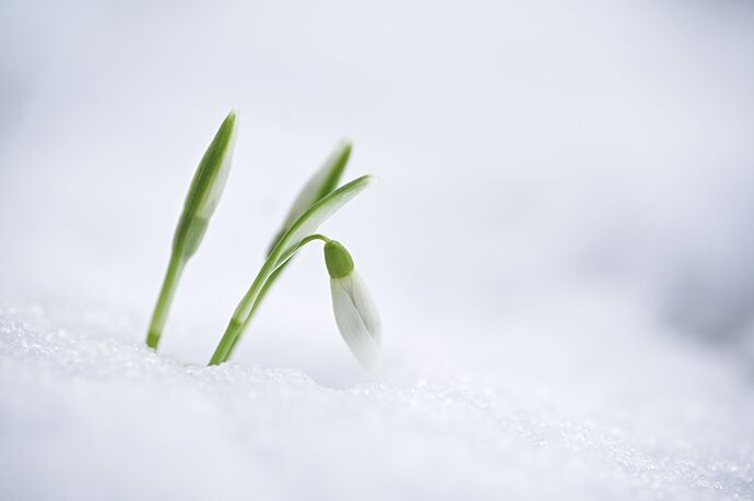 260216_132504_DSC08614