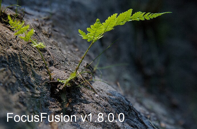Focus Fusion