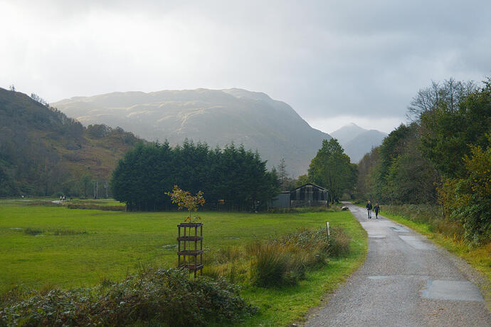 20251009_102339__DSF3451