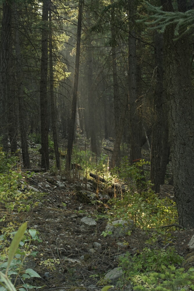 _DSC7820_1