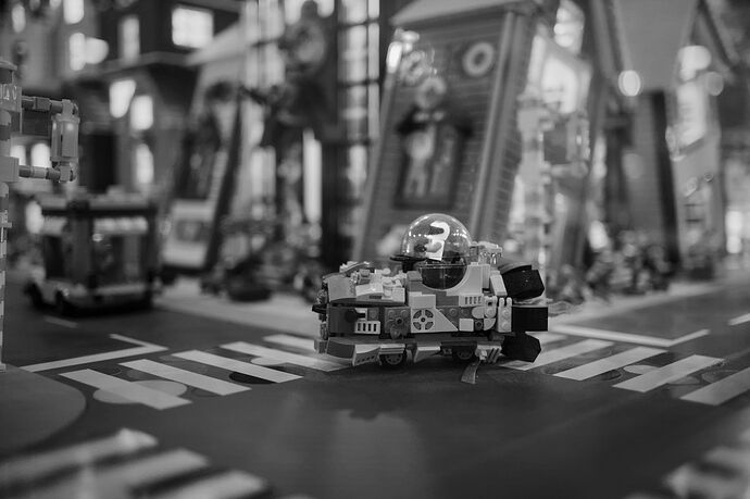 251116_120717_DSC06013_02