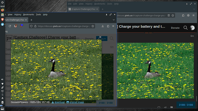 Screenshot_2025-04-23_10-57-39